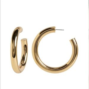 Banana Republic Thick Hoop Earrings